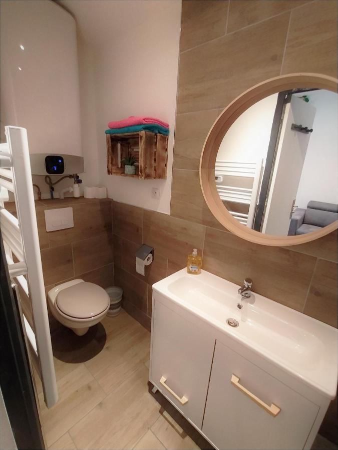 קרקסון Calme En Centre Ville Appartement , Spacieux Et Renove A 50M De La Place Carnot מראה חיצוני תמונה