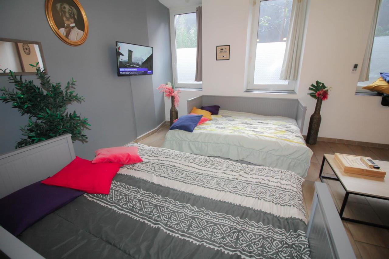 קרקסון Calme En Centre Ville Appartement , Spacieux Et Renove A 50M De La Place Carnot מראה חיצוני תמונה