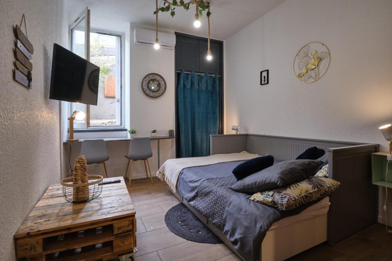 קרקסון Calme En Centre Ville Appartement , Spacieux Et Renove A 50M De La Place Carnot מראה חיצוני תמונה